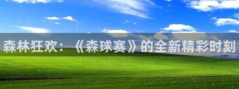森林狂欢：《森球赛》的全新精彩时刻