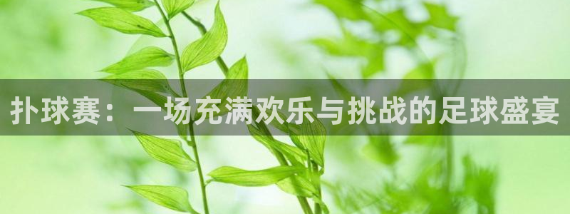 星空体育在线官网：扑球赛：一场充满欢乐与挑战的足球盛宴