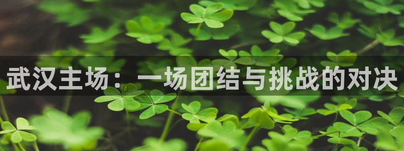 xk星空体育：武汉主场：一场团结与挑战的对决