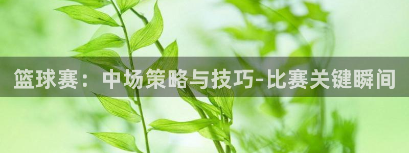天空体育权威吗?：篮球赛：中场策略与技巧-比赛关键瞬间